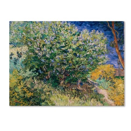Trademark Fine Art